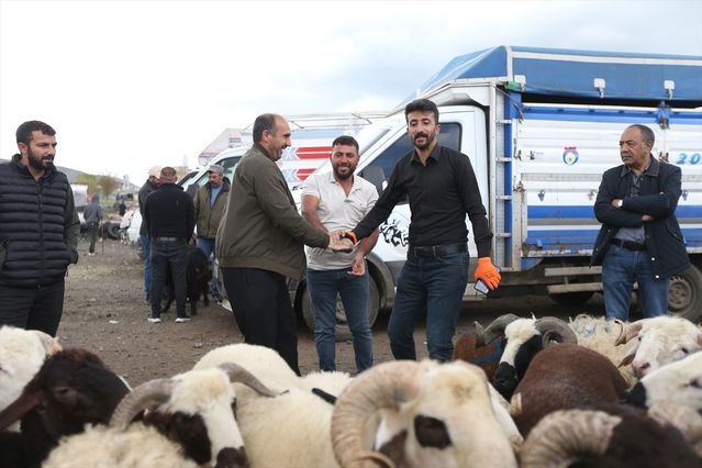 Kars ve Ardahan'da Kurbanlık Yoğunluğu
