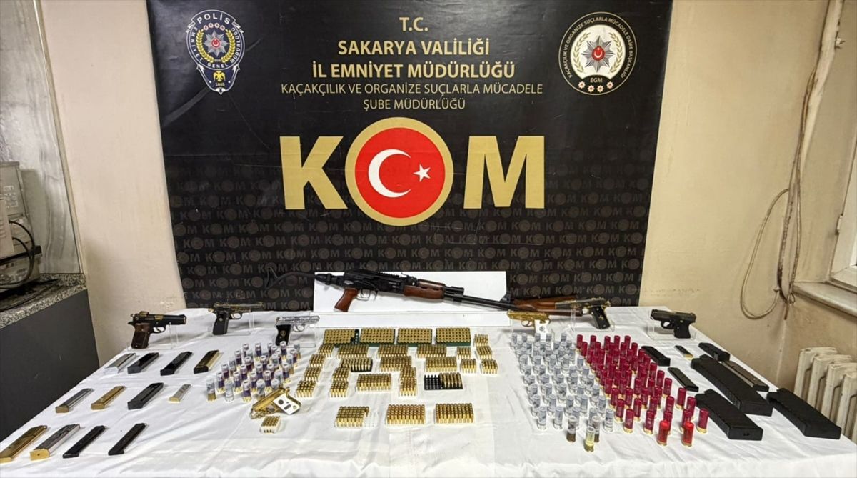 Sakarya\'da Ruhsatsız Silah Operasyonu