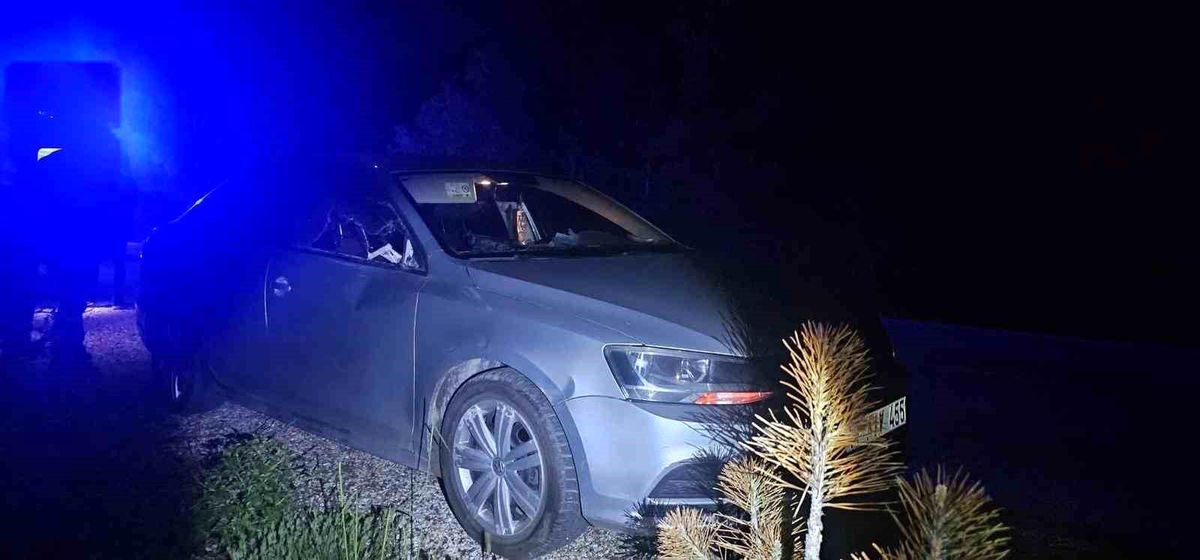 Geyiğe Çarpan Otomobilde 2 Yaralı