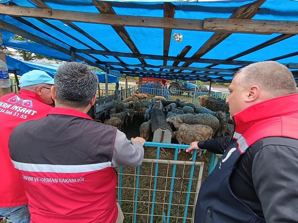Kurban Satış Noktalarında Denetim