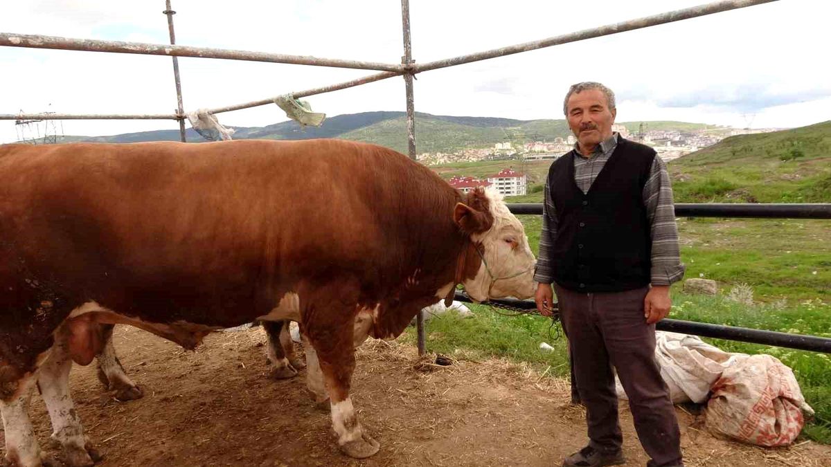 Yozgat\'ta Kurban Pazarı Hareketliliği