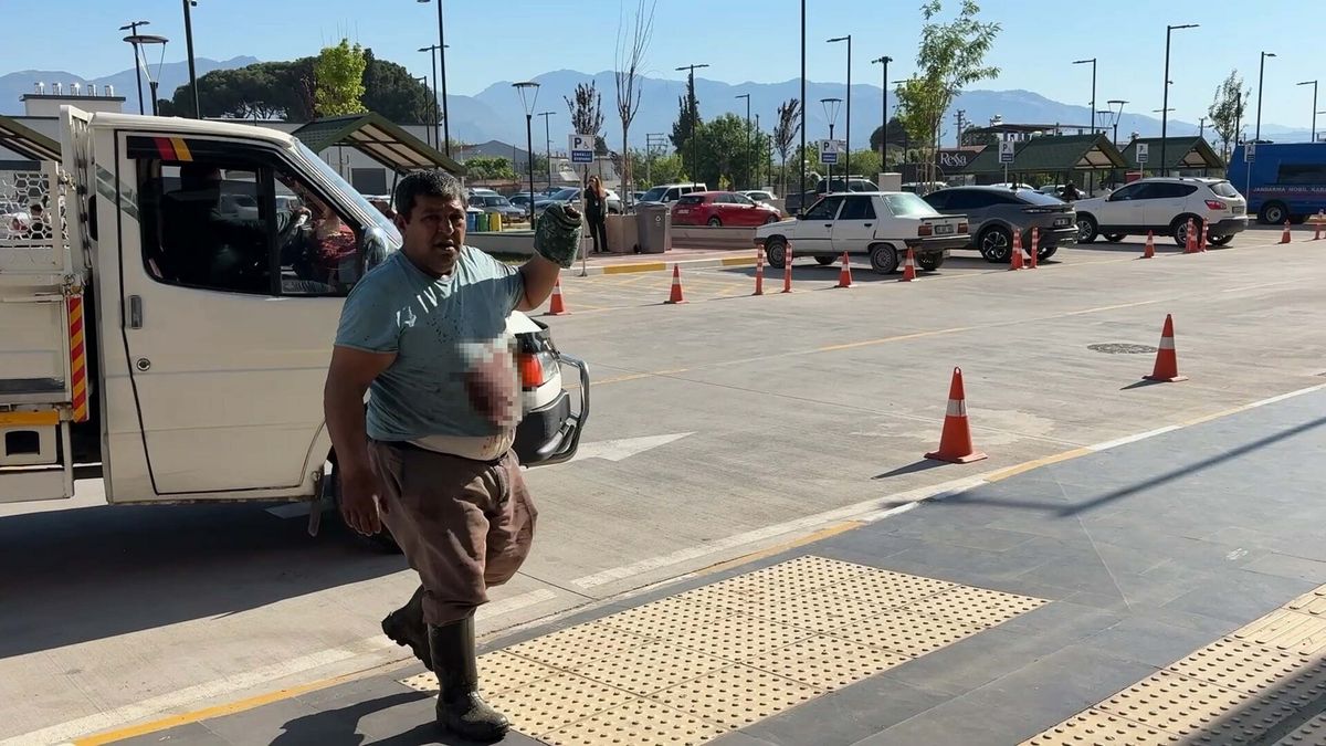 Aydın\'da Kurban Kesimi Sırasında Yaralanmalar