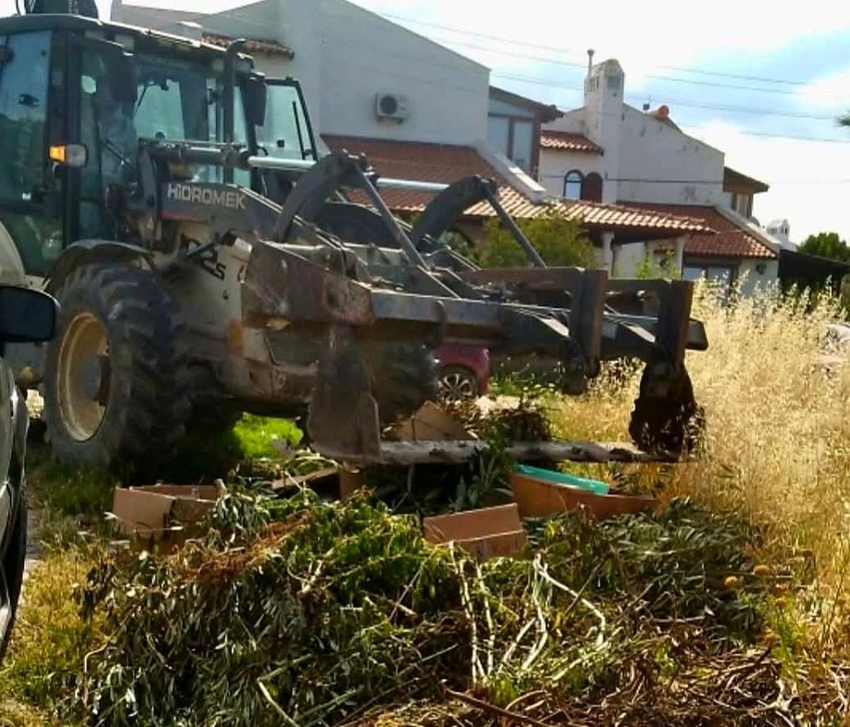 Ayvalık Belediyesi Zabıta Müdürlüğü ekiplerinden sıkı denetim