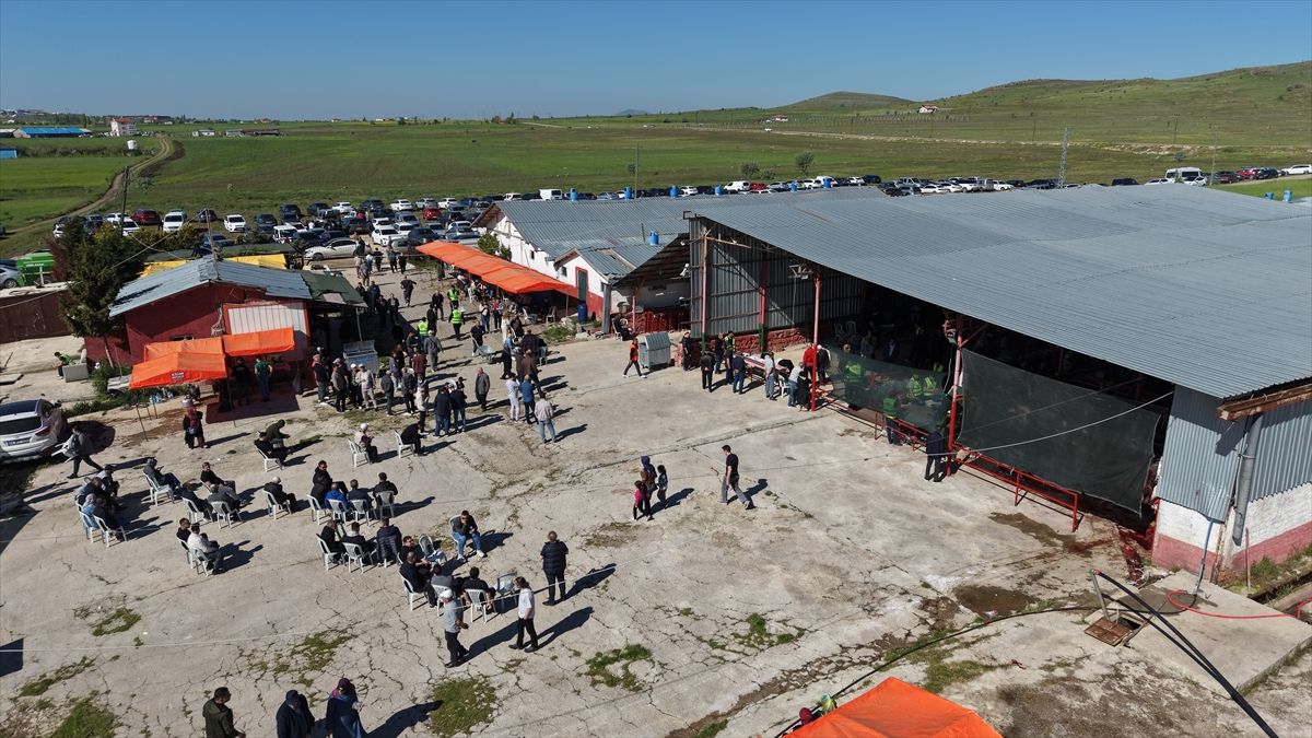 Çubuk\'ta Kurban Bayramı Hareketliliği