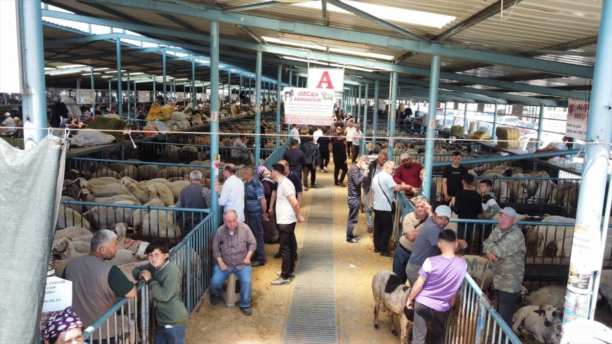 Denizli\'de Kurban Bayramı Hareketliliği