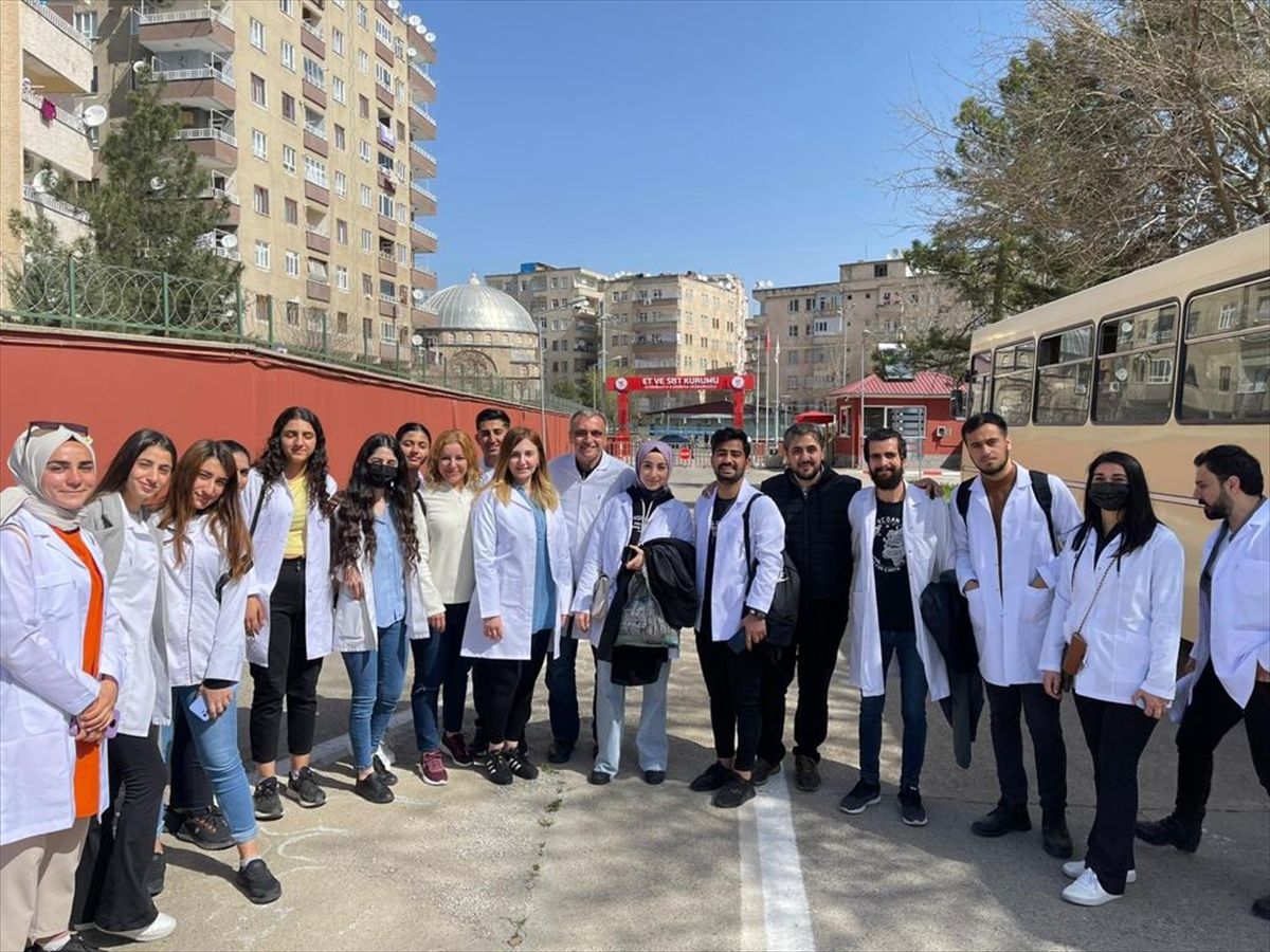 Dicle Üniversitesi Mezuniyet Töreni