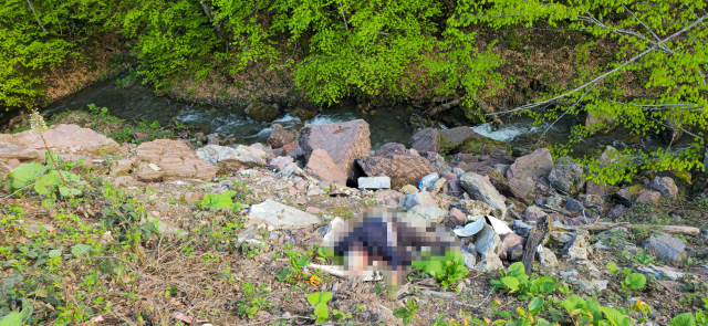 Düzce'de cinayet çözüldü: Şüpheli suçunu itiraf etti