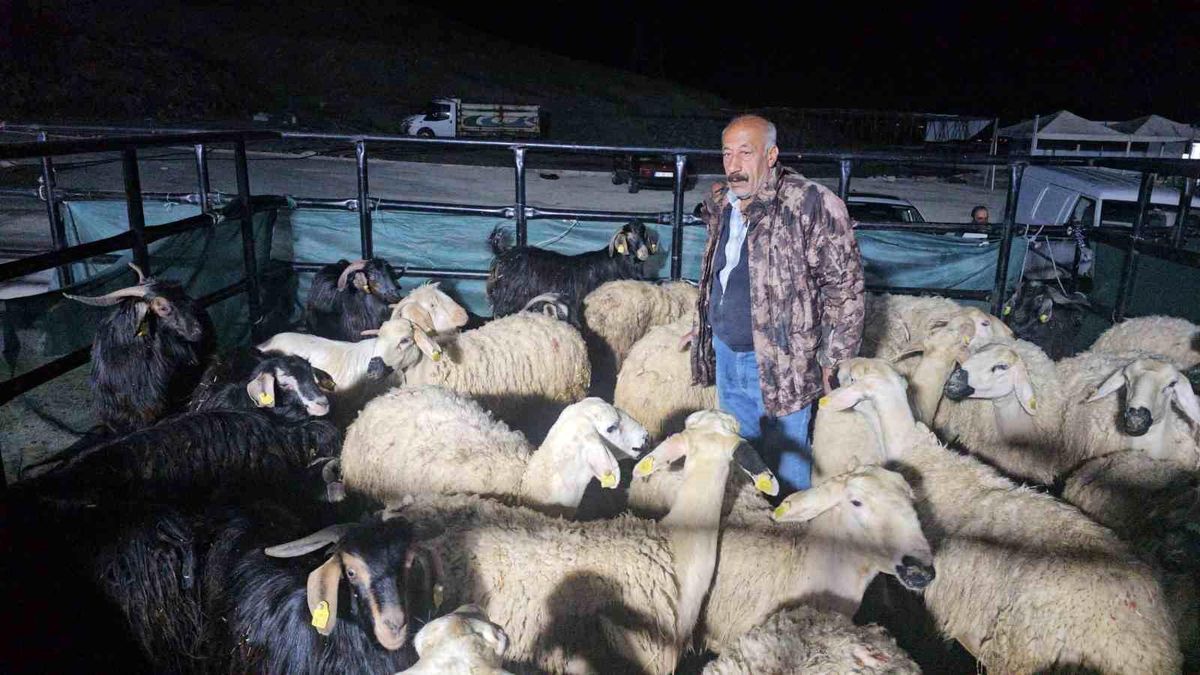 Elazığ\'da Kurban Pazarı Hareketliliği