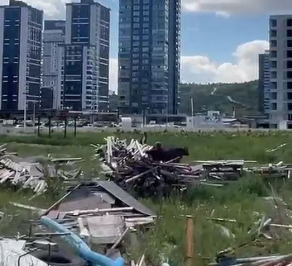 Kurbanlık Boğa Kaçtı, Zor Anlar Yaşandı