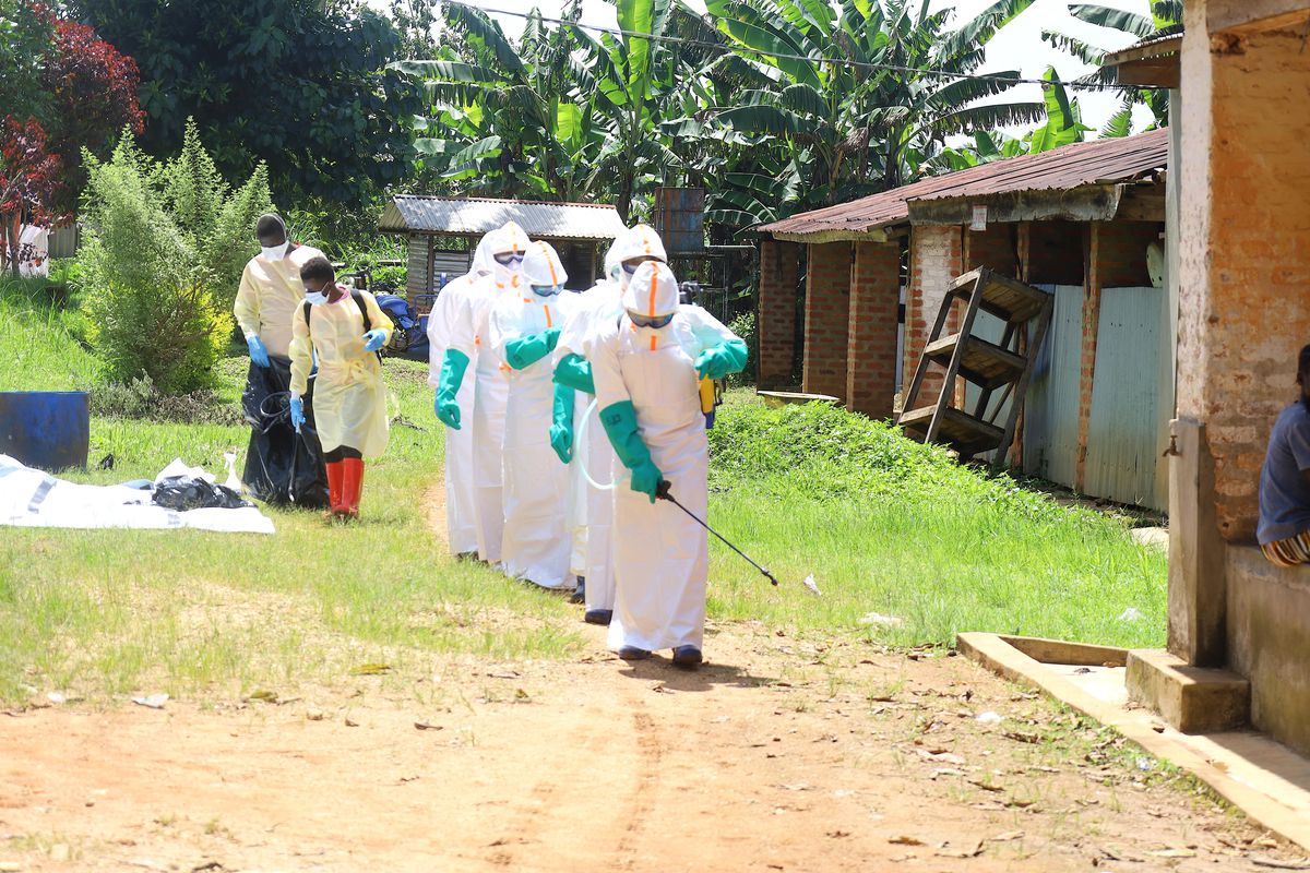 Kongo\'da Ebola Salgınına Erken Aşama