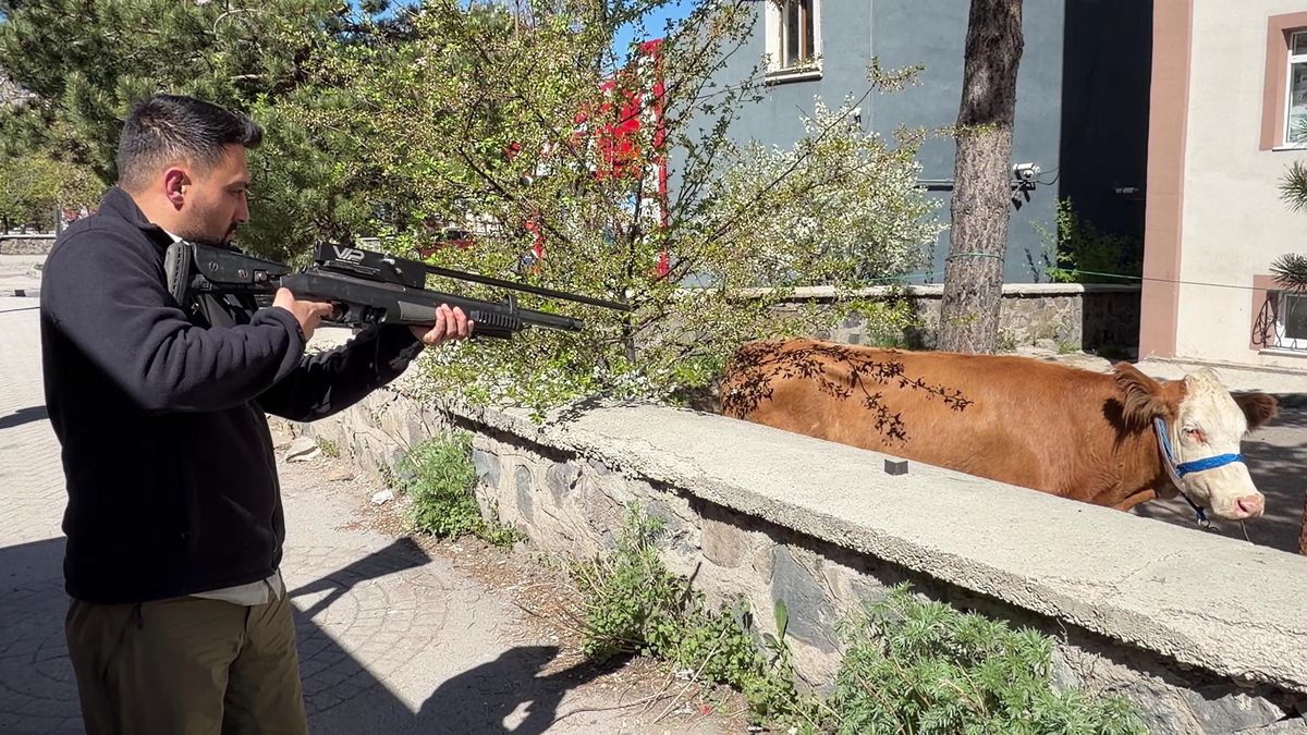 Kurban Kesiminde Kalp Krizi ve Yaralanmalar