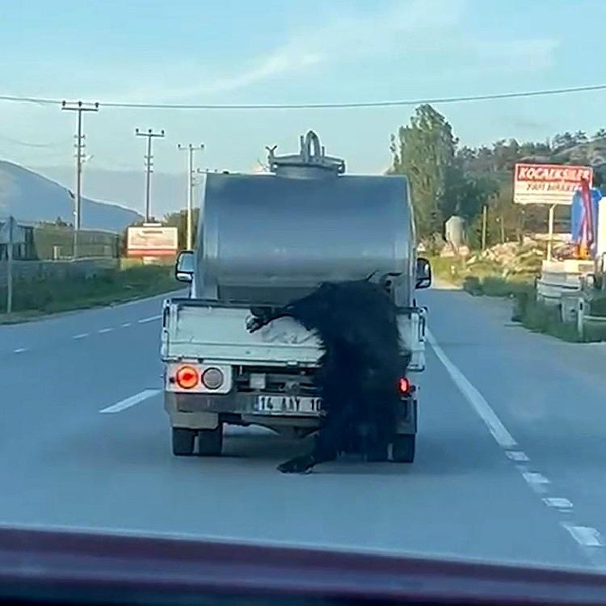 Bolu\'da Sürücüye 31 Bin Lira Ceza