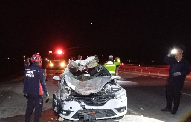Muş'ta Otomobil Ata Çarptı: 4 Yaralı