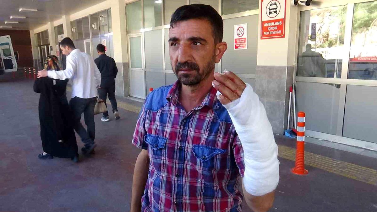 Şanlıurfa\'da \'acemi kasap\'lar hastanelik oldu: 232 yaralı