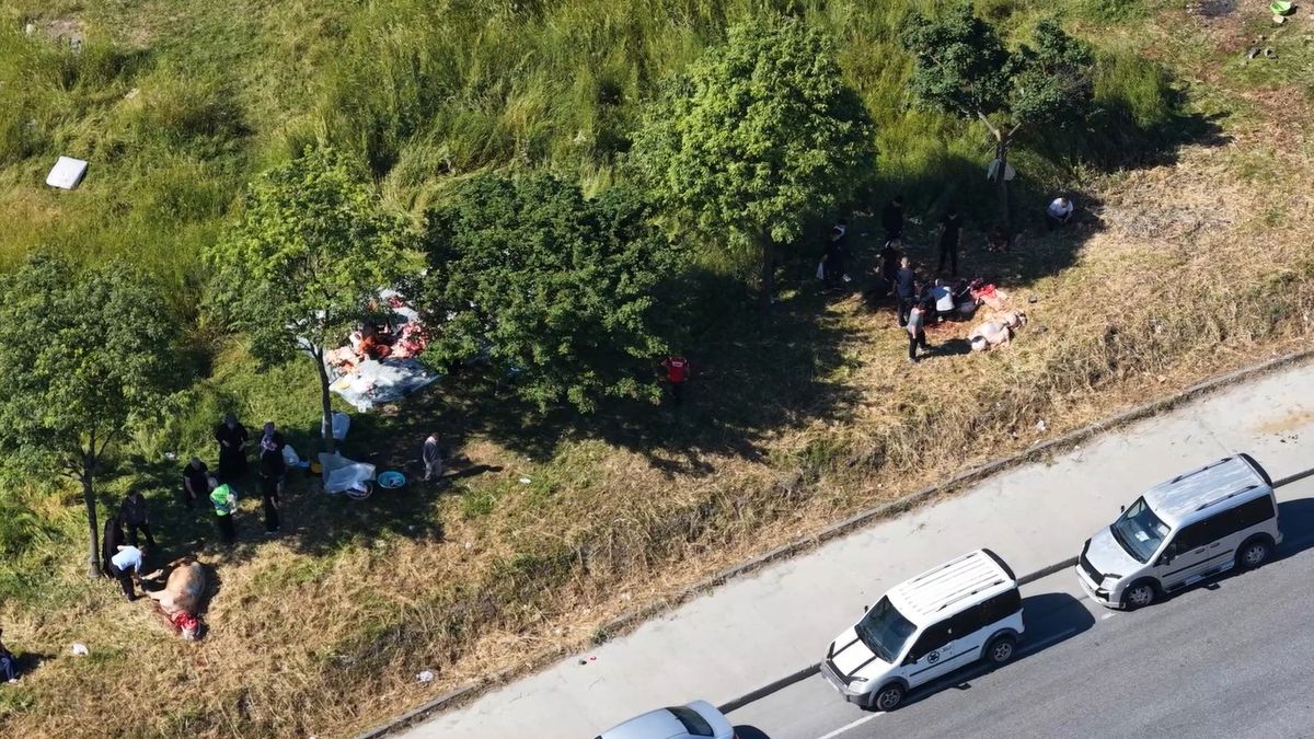 İstanbul\'da Kurban Kesiminde Sıra Beklemeyenler Yola Çıktı