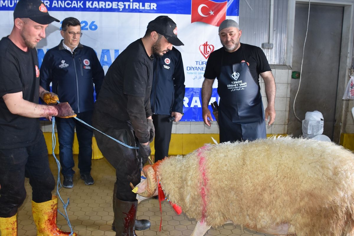 TDV Afyonkarahisar\'da 450 Kurban Hissesi Dağıtacak