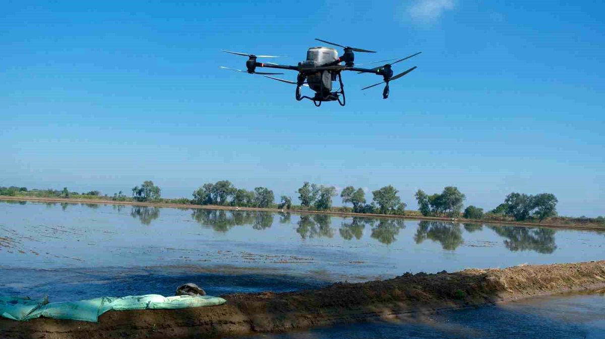 Karacabey\'de Dron ile Çeltik Ekim Dönemi