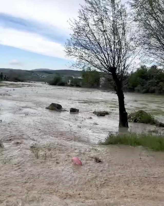 Kastamonu'da Kuvvetli Sağanak Tarımı Vurdu