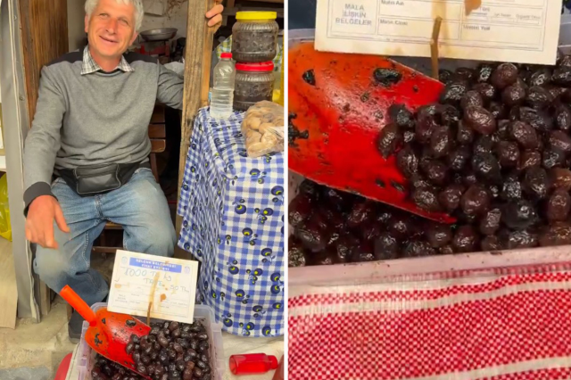 Zeytinin kilosunu 50 TL'ye sattı