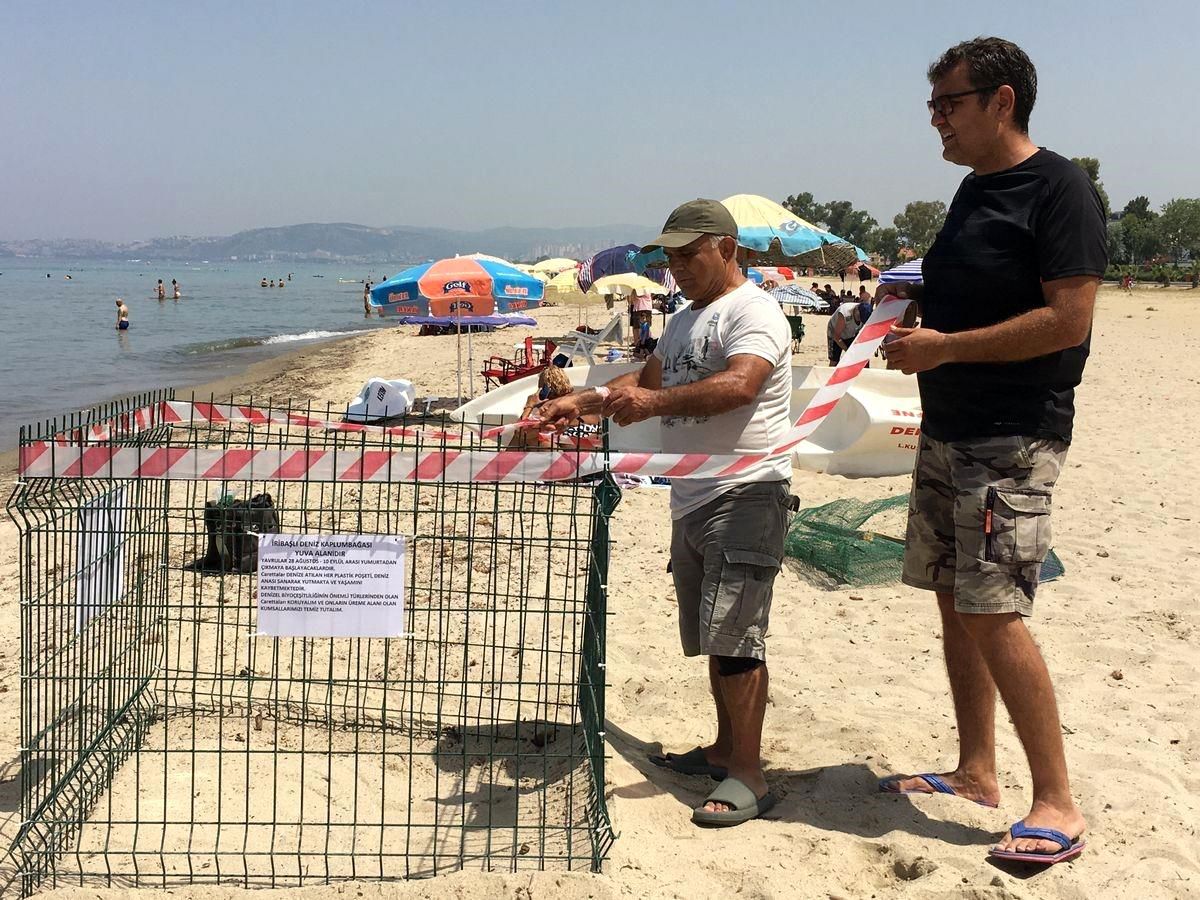 Kuşadası ve Didim\'de Deniz Kaplumbağası Yuvalama Artışı