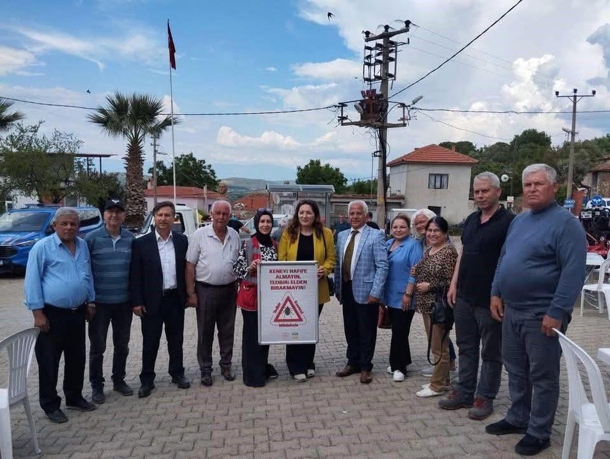Burhaniye\'de Kene Vakalarına Dikkat!