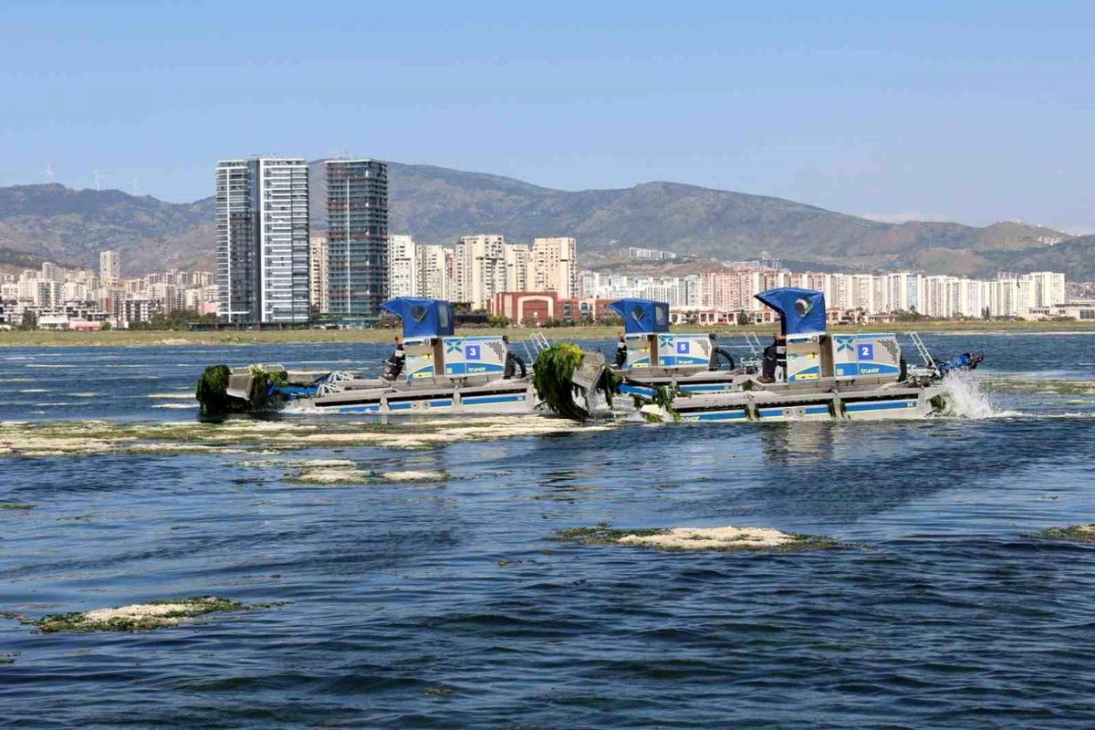 Büyükşehir\'den Körfez\'de temizlik mesaisi