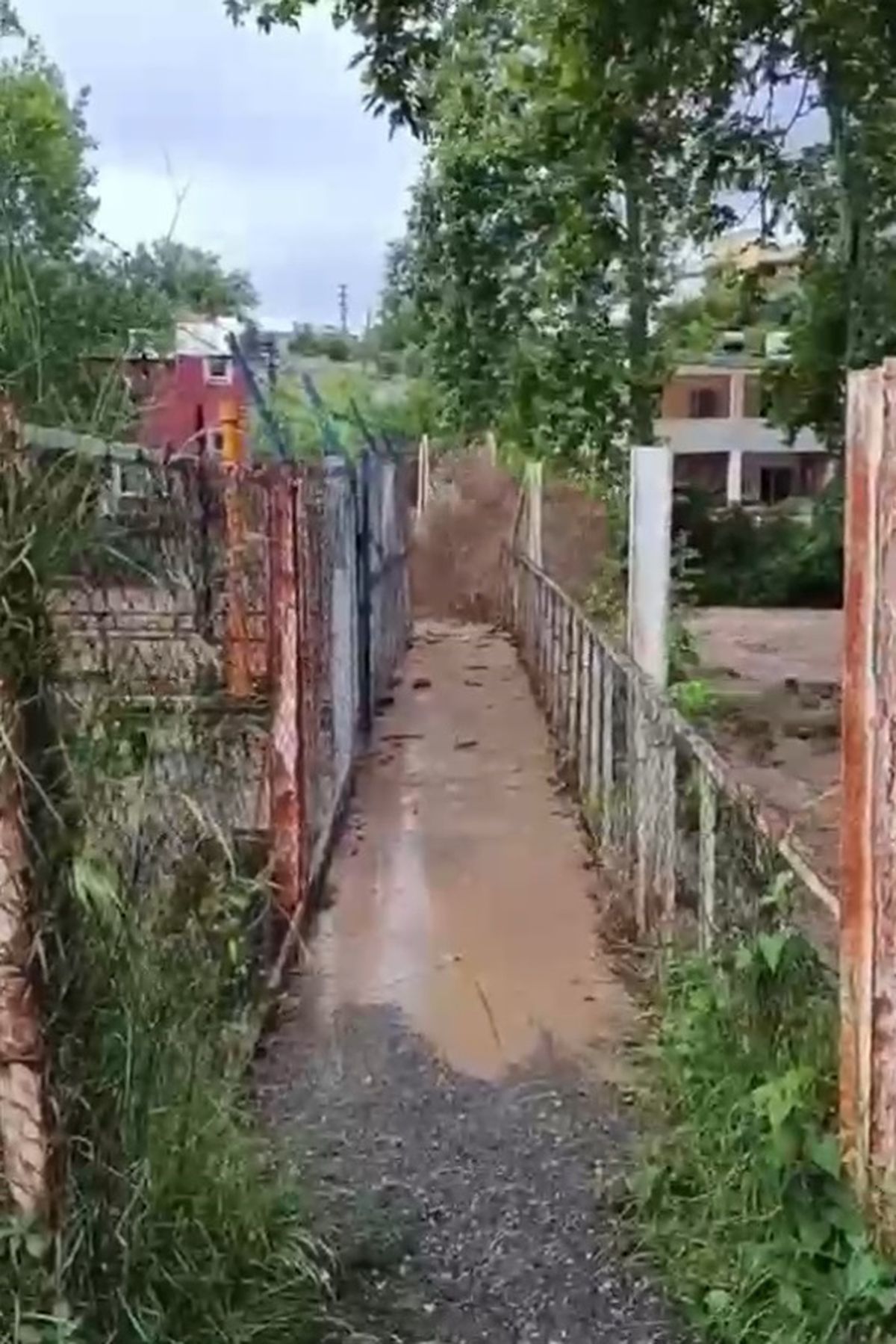 Dörtyol\'da Çay Taştı, Evler Su Bastı
