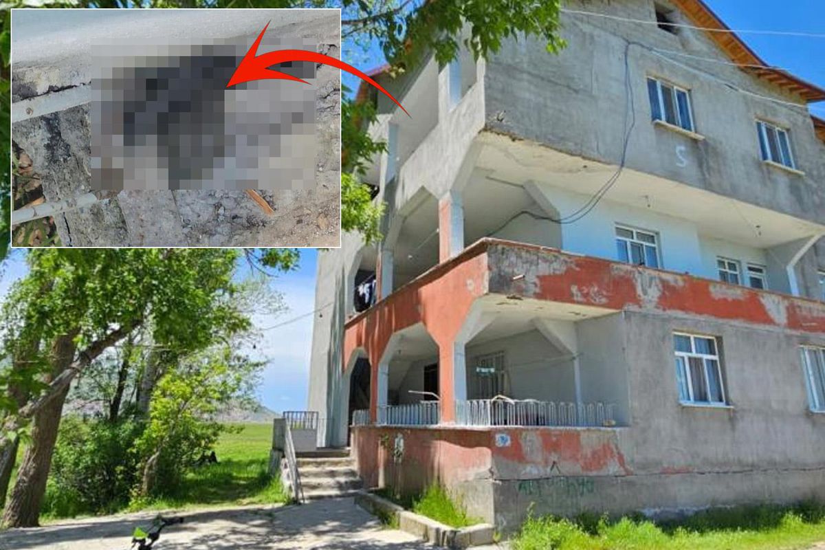 Evi 3 metrelik yılanlar bastı! Geceleri uyku uyuyamıyorlar