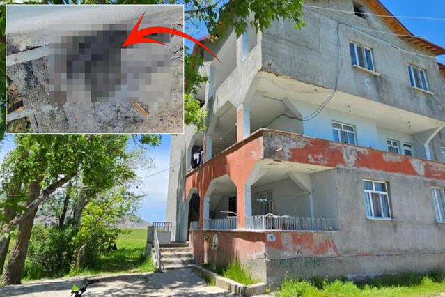 Evi 3 metrelik yılanlar bastı! Geceleri uyku uyuyamıyorlar