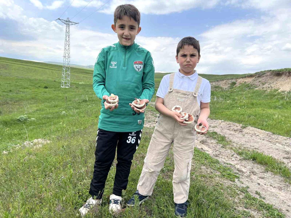 Bayramda Mantar Şenliği