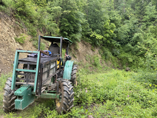 Kastamonu'da facia: Düğün hazırlığı için geldi, uçurumda son nefesini verdi