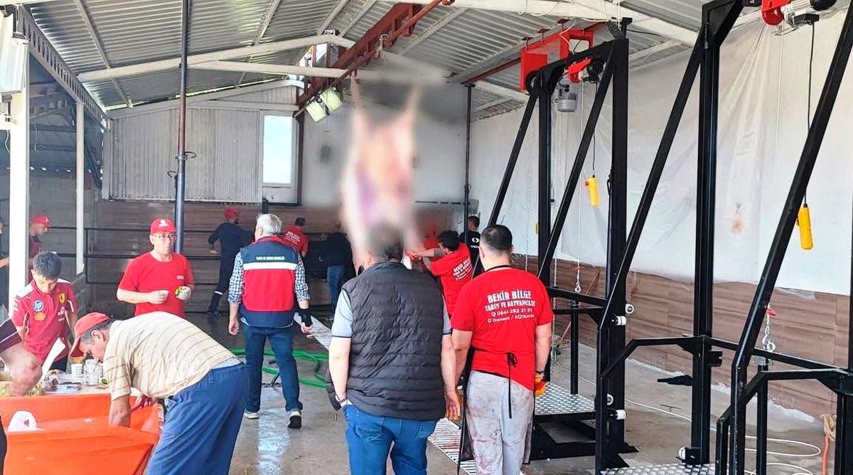 Kütahya\'da Kurban Kesim Yerleri Denetleniyor