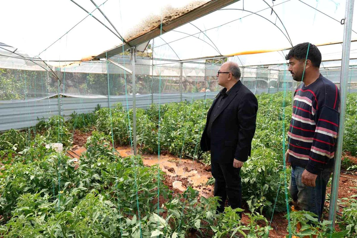 Mersin\'de dolu, sebze tarlaları ve meyve bahçelerine zarar verdi