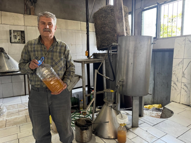 Toroslar'dan topluyor, Avrupa'dan bile sipariş yağıyor! Gramı 18 TL'ye kadar çıkıyor