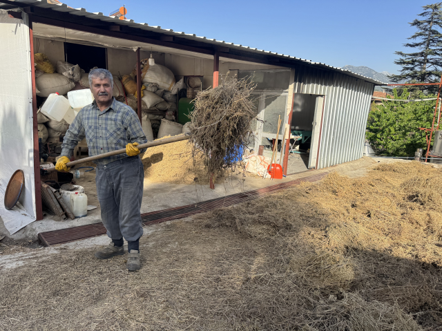 Toroslar'dan topluyor, Avrupa'dan bile sipariş yağıyor! Gramı 18 TL'ye kadar çıkıyor