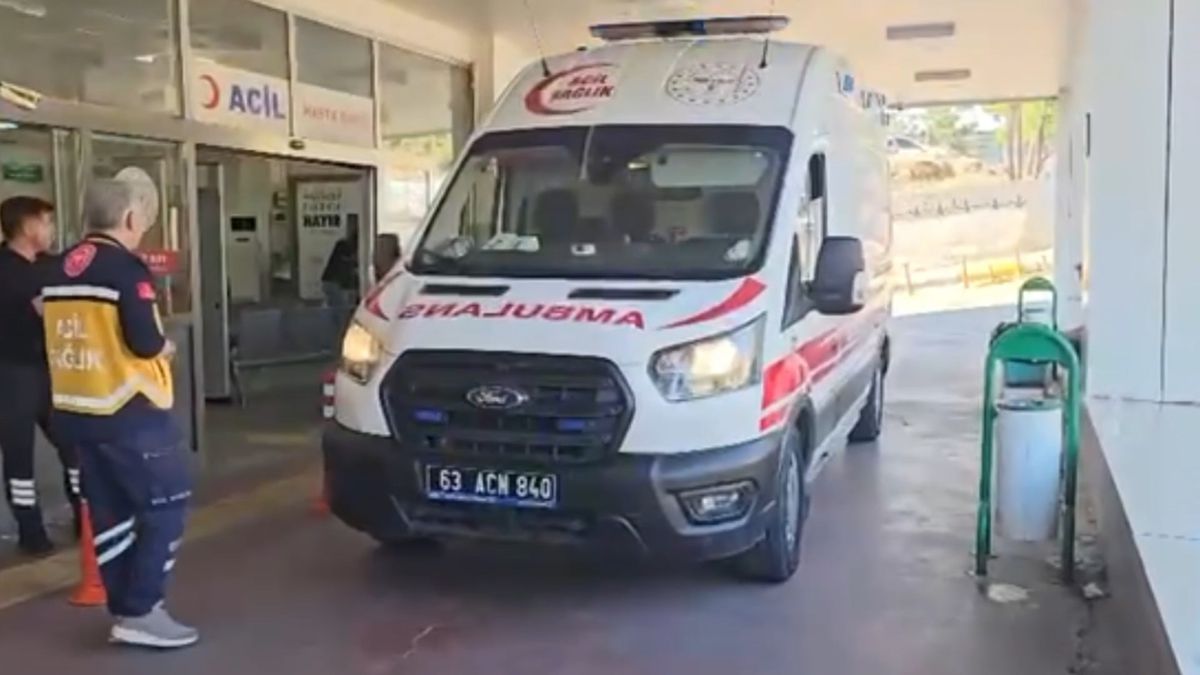 Yılan Vurmak İsterken 5 Kişiyi Yaraladı