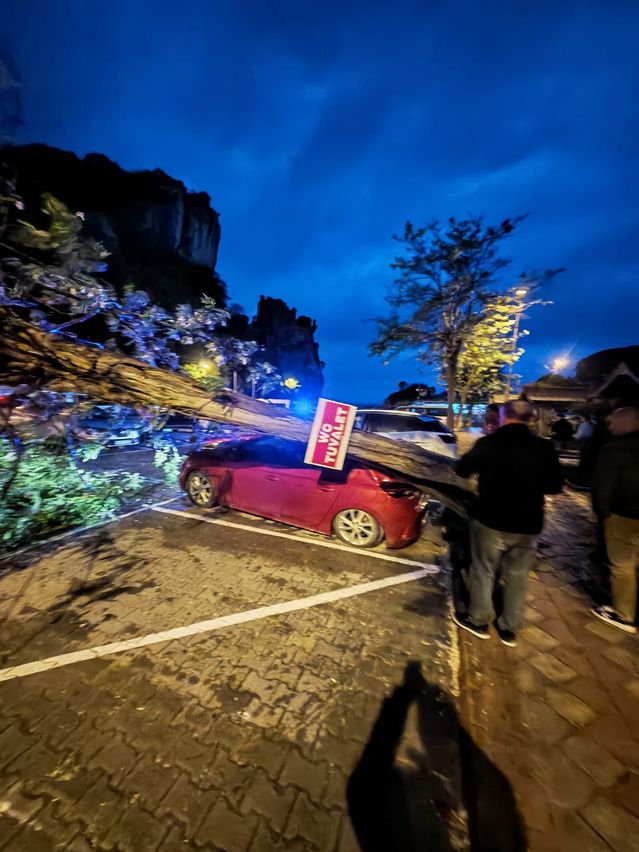 Bartın'da Fırtına Ağaçları Devrip Araçları Zarar Verdi