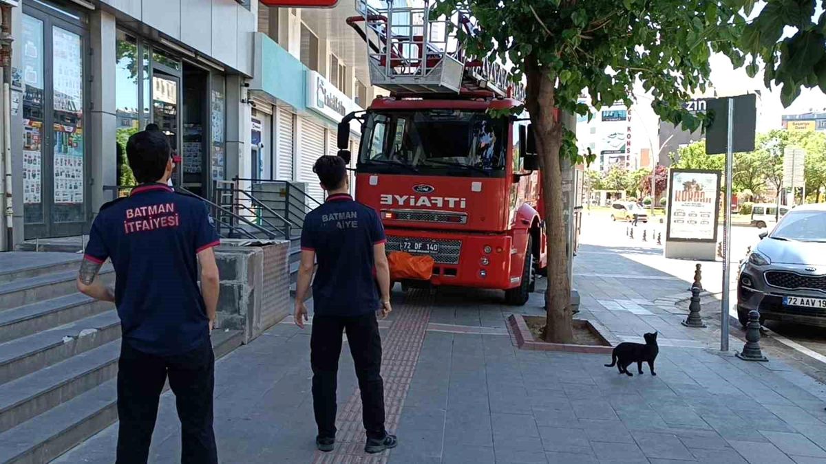 Batman\'da Kediyi İtfaiye Kurtardı