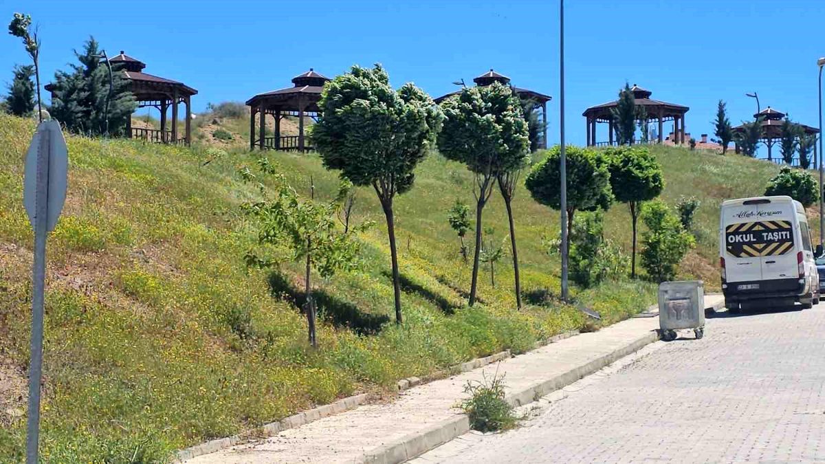 Elazığ\'da Şiddetli Rüzgar Gündelik Yaşamı Etkiledi