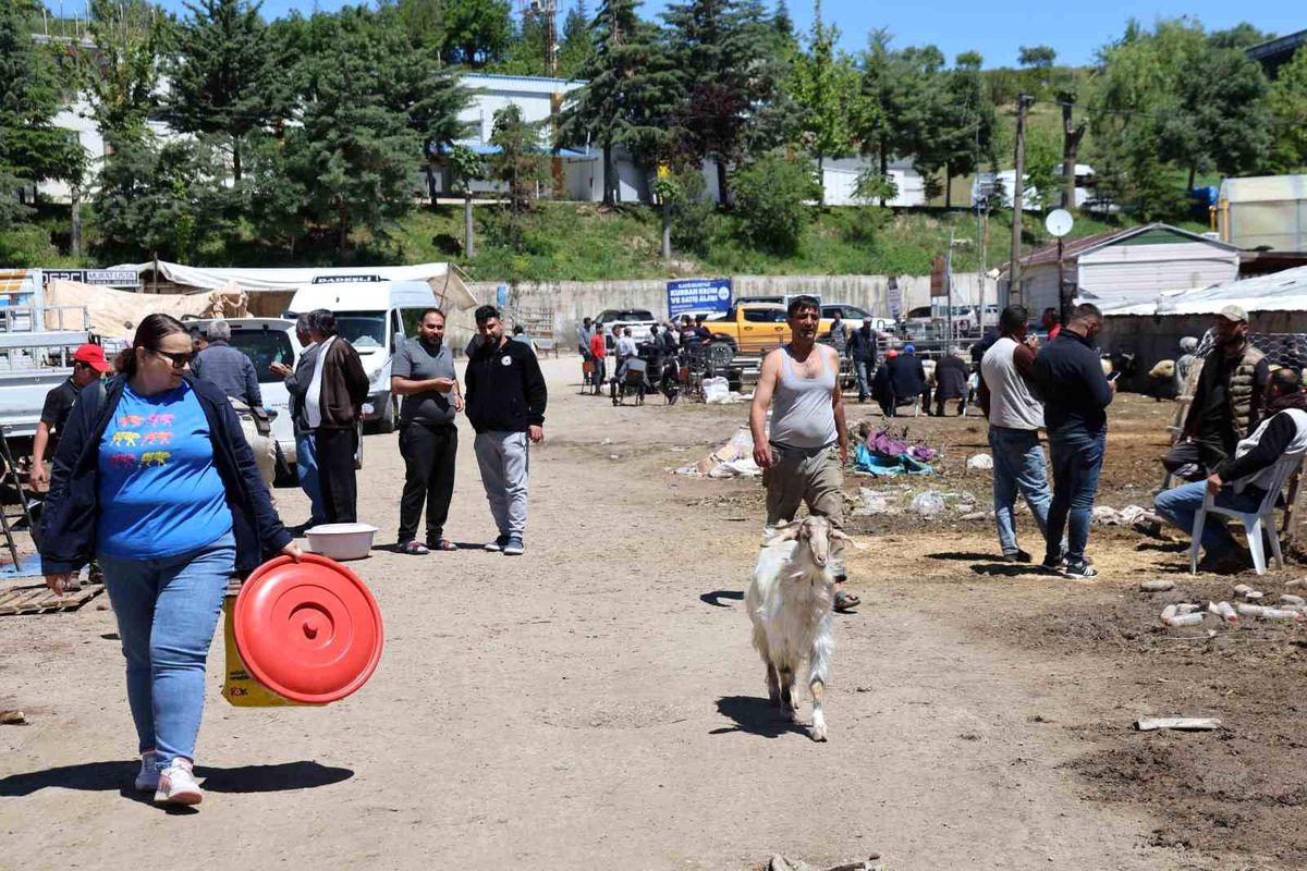 Elazığ\'da Canlı Hayvan Pazarında Bayram Hareketliliği
