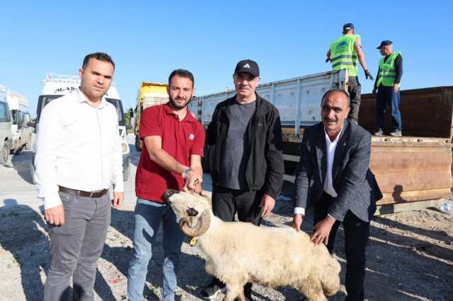 Eyyübiye Belediyesi'nden tarım işçilerine dev bayram desteği