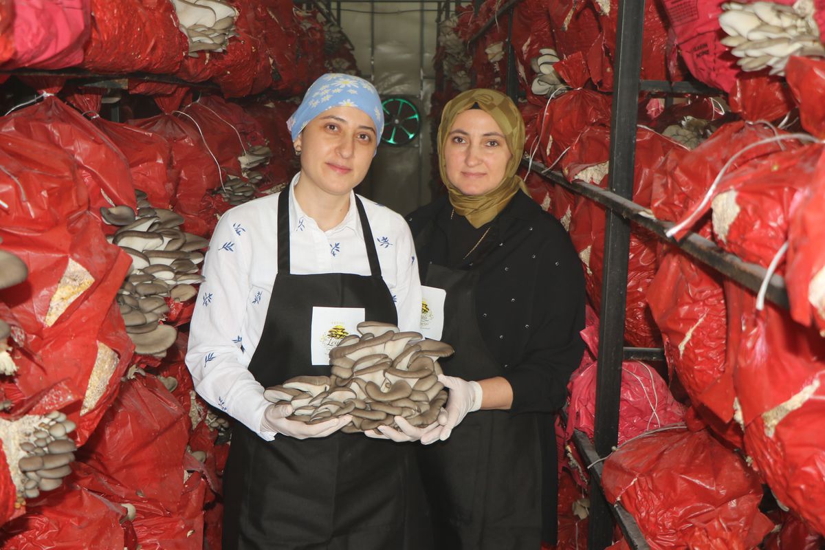 Samsun\'da Kadın Girişimcilerden Sağlıklı Kütüphane