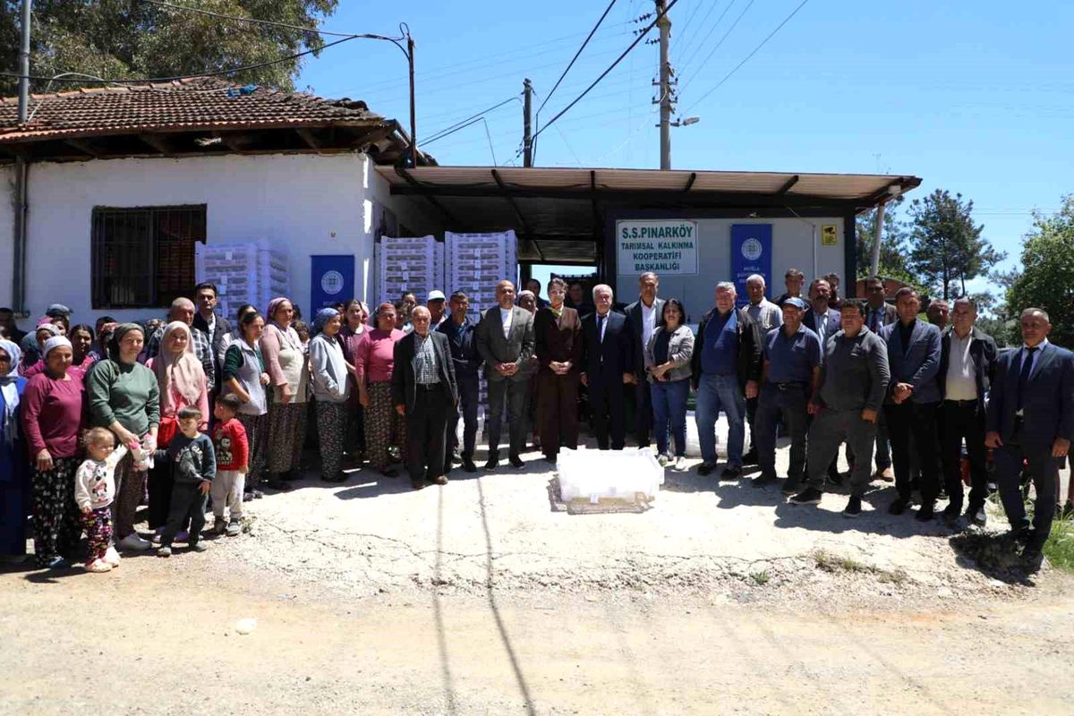 Muğla Büyükşehir\'den İpek böcekçiliğine destek