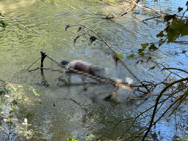 Tunca Nehri'nde 9 saat arayla 2 arkadaşın cansız bedeni bulundu