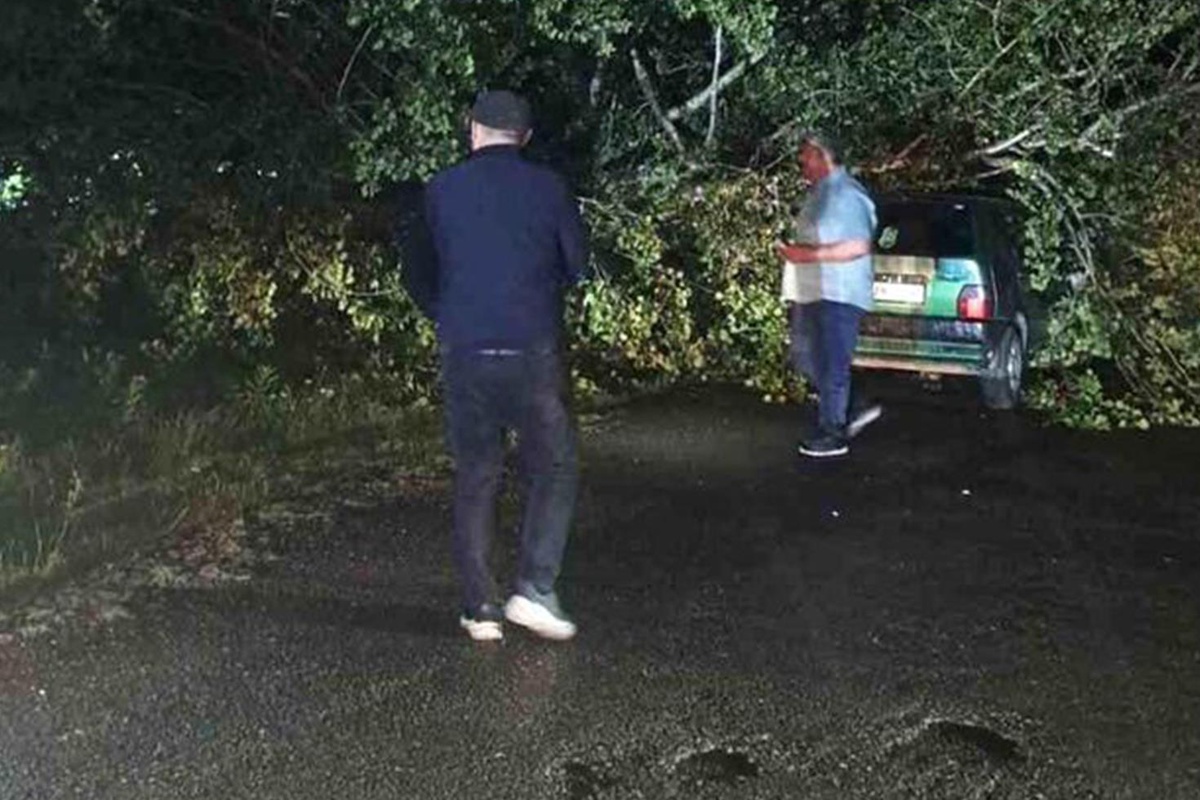 Bartın\'da fırtına ağaçları devirdi, araçlara zarar verdi