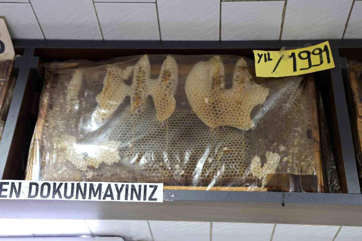 Sivas\'ta 35 Yıllık Bal Çerçeveleri İlgi Çekiyor