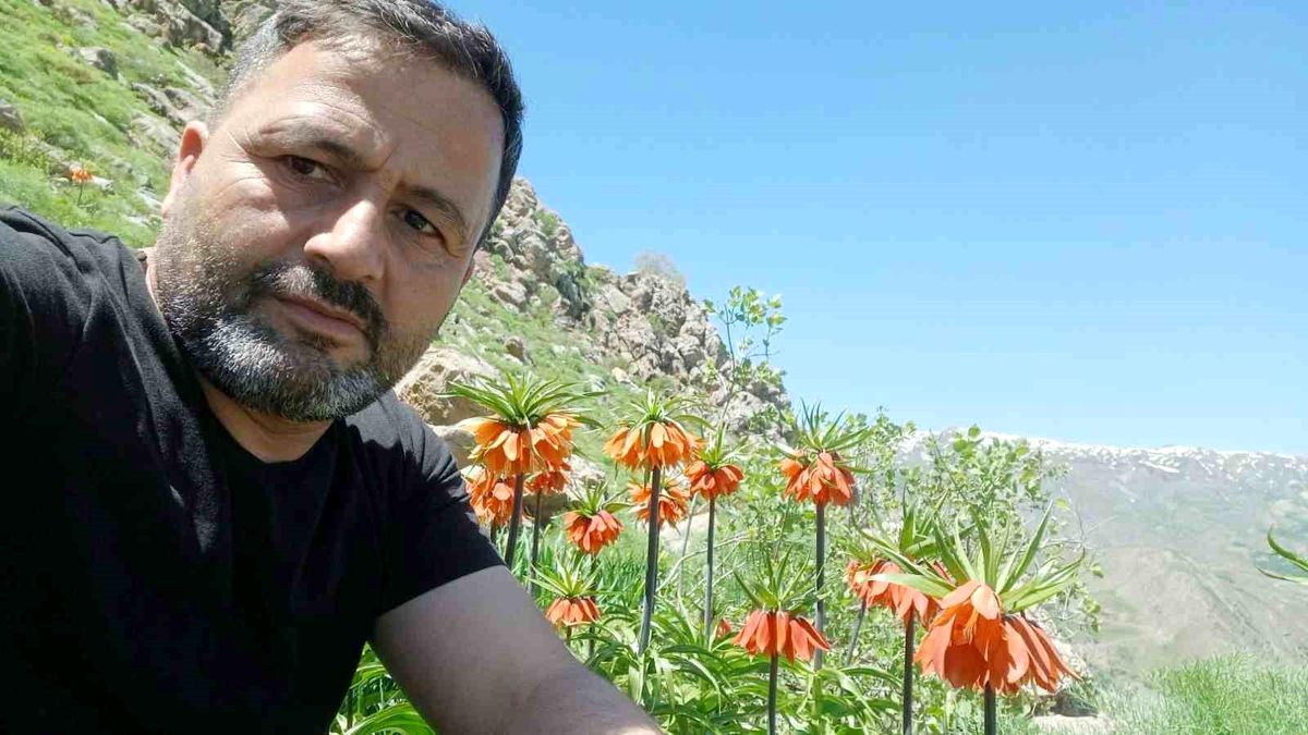Hakkari\'de Ters Lale Güzelliği