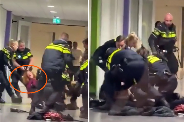Hollanda polisi hamile Filistinli kadını yerlere savurdu