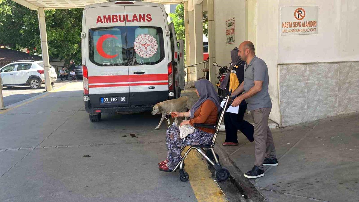 Mersin\'de 7 Kişi Mantar Zehirlenmesi Şüphesiyle Hastaneye Kaldırıldı