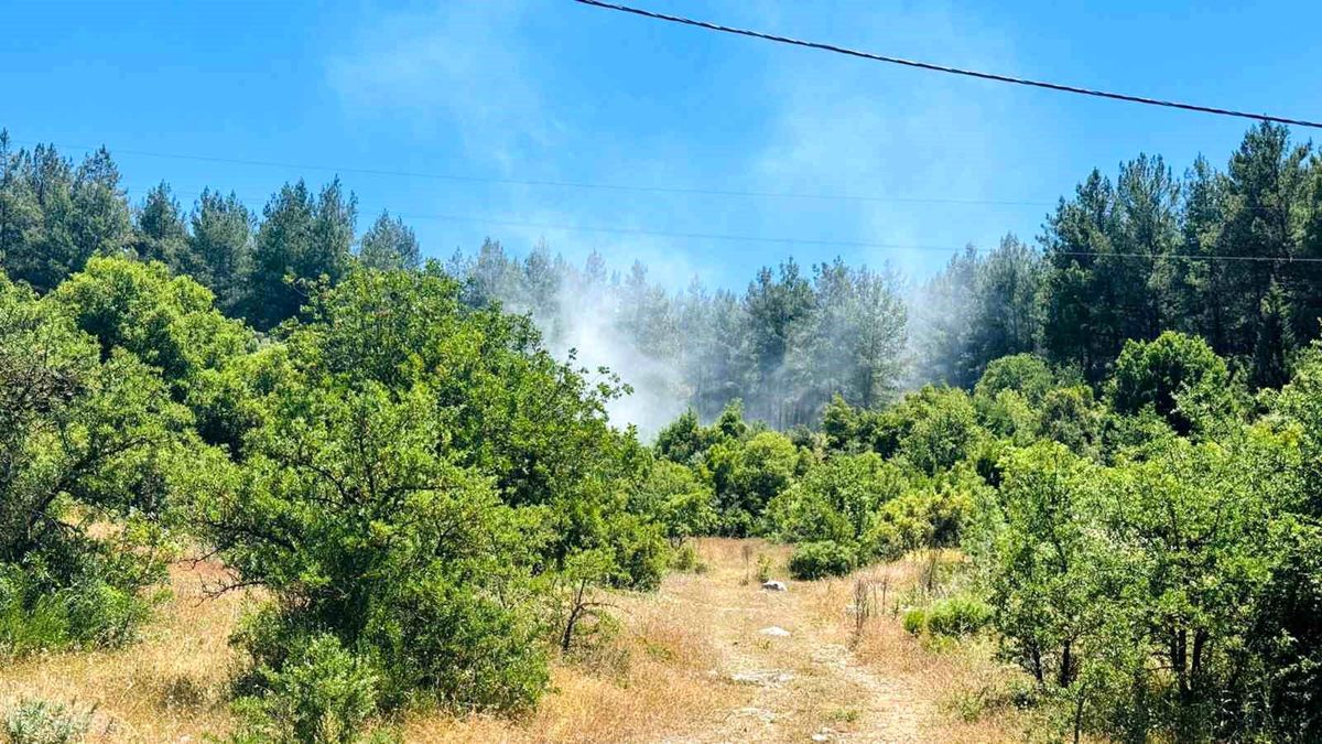 Muğla\'da Orman Yangını Kontrol Altına Alındı